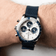 1960 Racing Chronograph, Steel / Navy & White