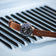 1960 Racing Chronograph, Steel / Midnight Blue